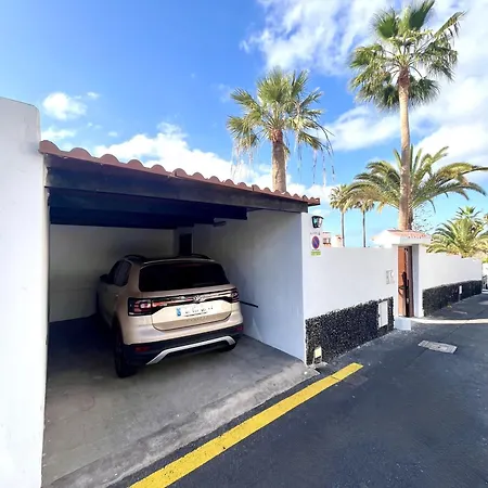 Stone فيلة Chayofa